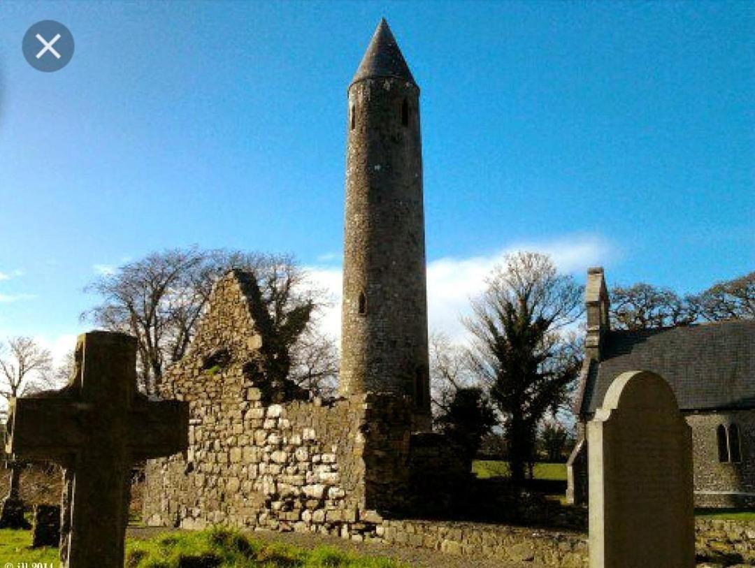 Oak House Laois B&B Portarlington Eksteriør bilde