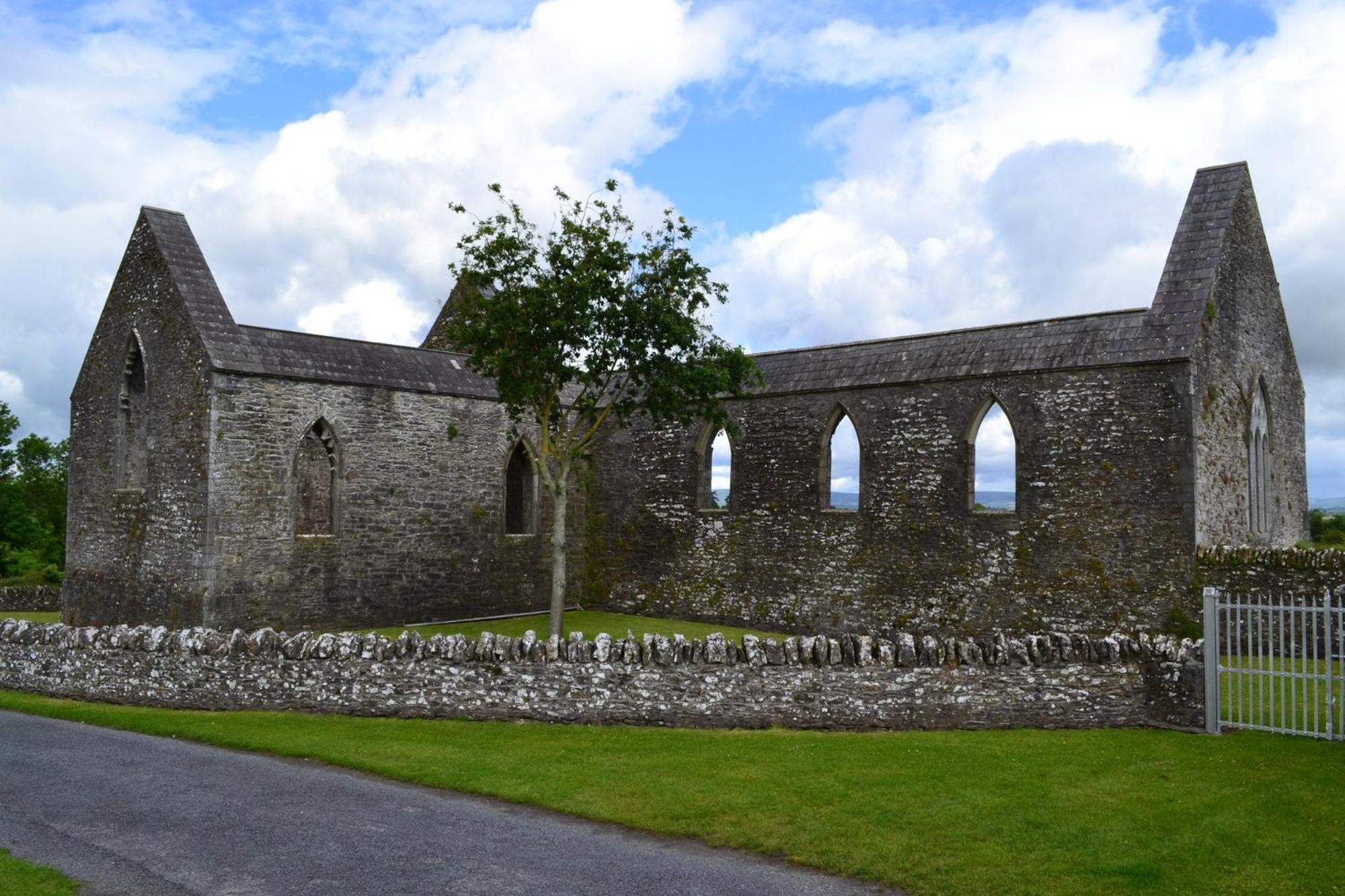 Oak House Laois B&B Portarlington Eksteriør bilde